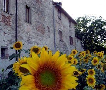 La Casa Nova Villa Сансеполкро Екстериор снимка